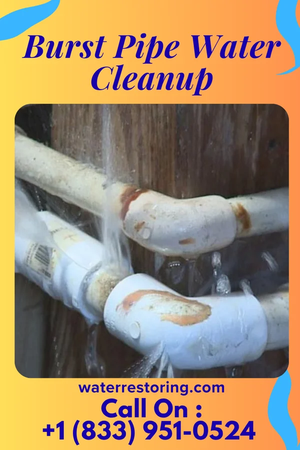 Burst Pipe Water Cleanup in Peach Lake, NY