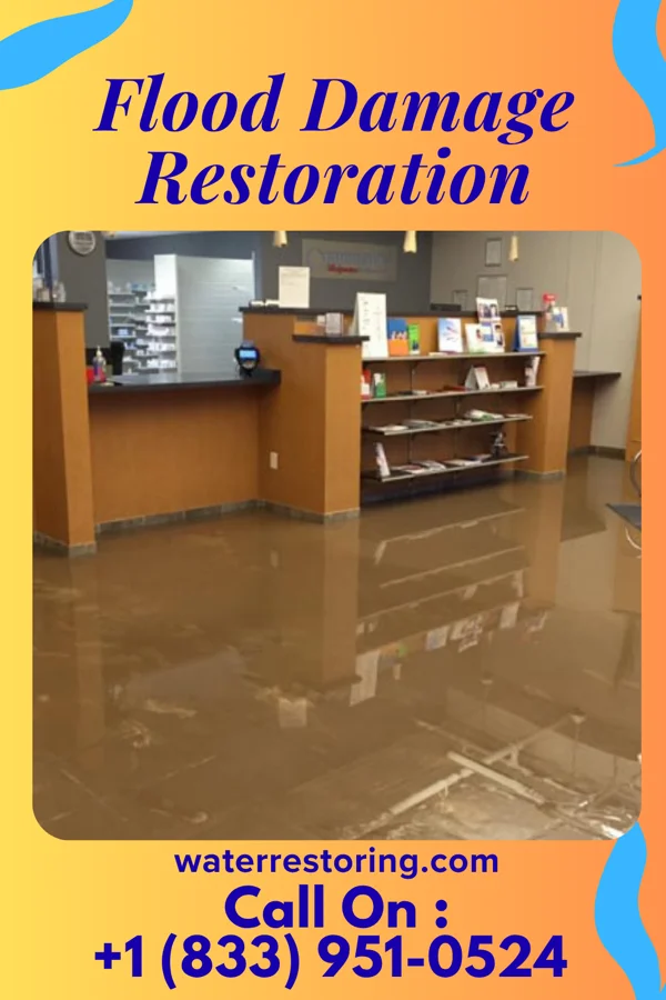Flood Damage Restoration in Peach Lake, NY