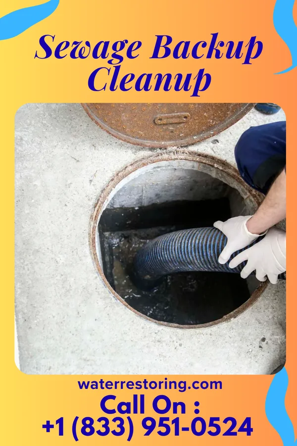 Sewage Backup Cleanup in Peach Lake, NY